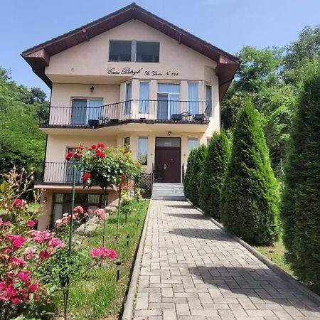 Casa Patryk Hotel Orşova Екстериор снимка