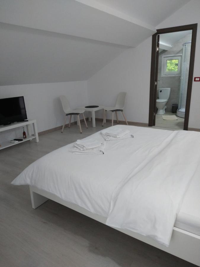 Casa Patryk Hotel Orşova Екстериор снимка