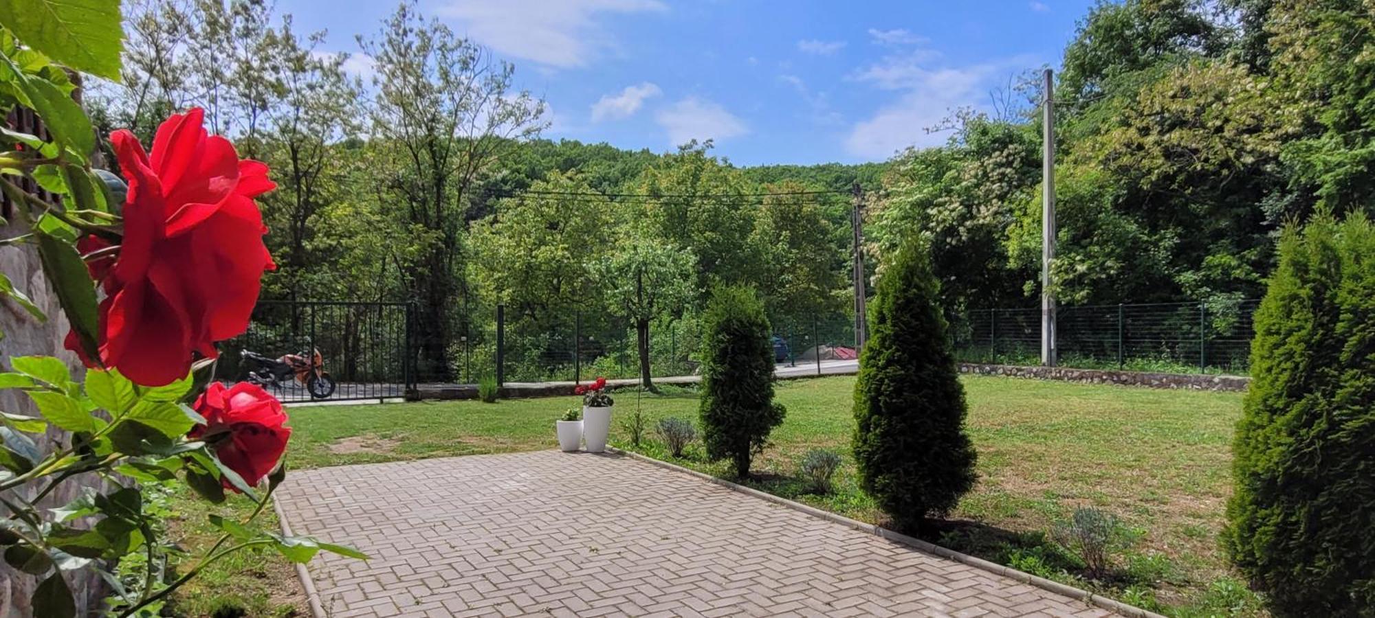Casa Patryk Hotel Orşova Екстериор снимка