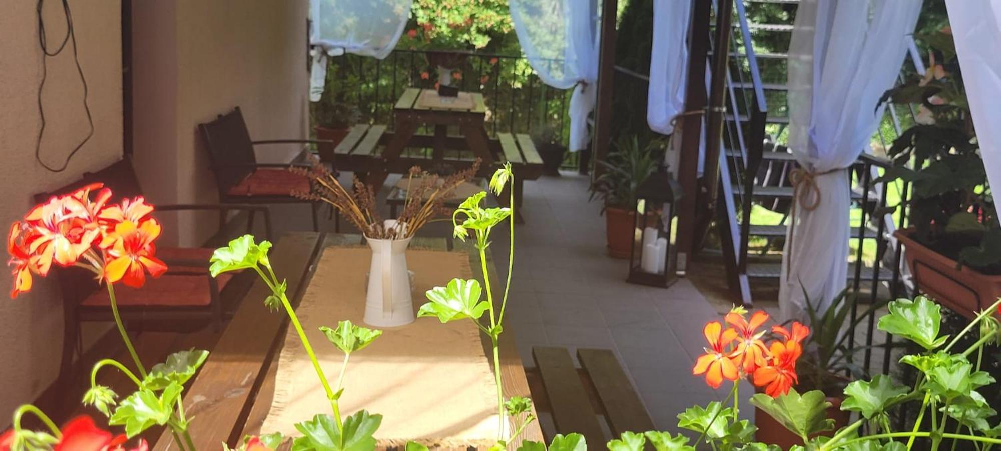 Casa Patryk Hotel Orşova Екстериор снимка